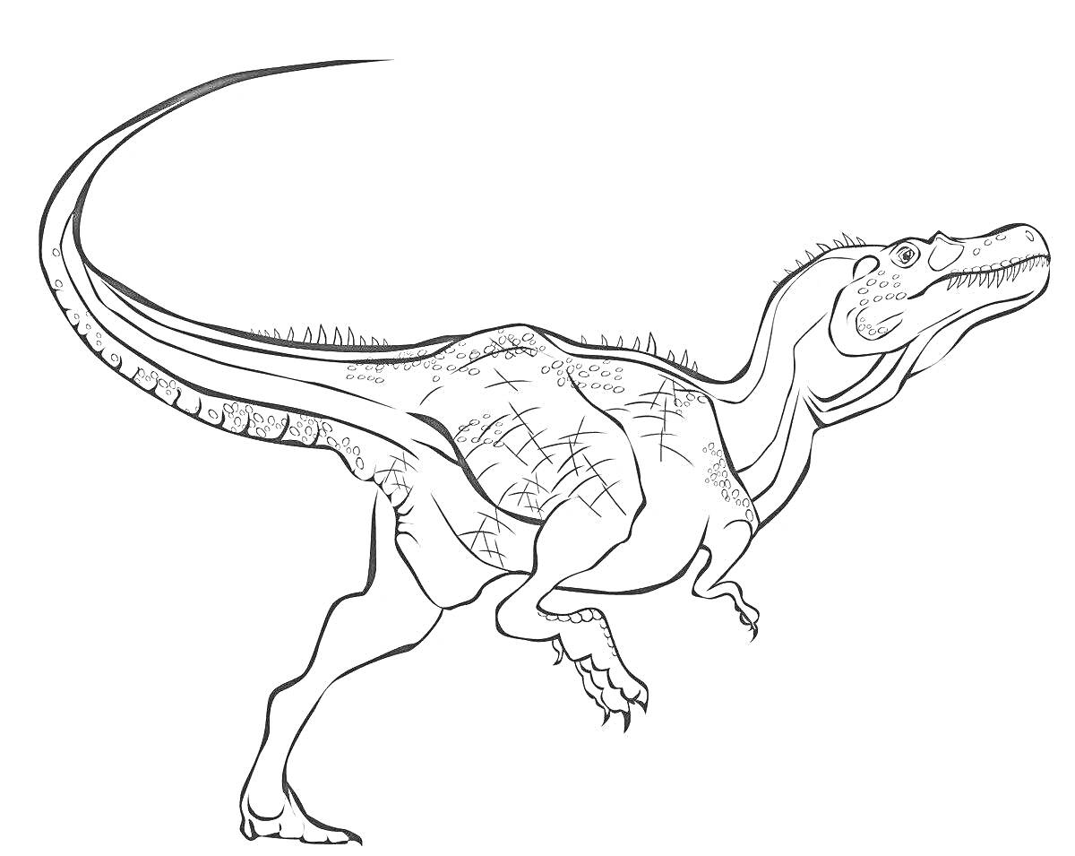 Раскраска тираннозавр в движении, с детализированными ногами и хвостом, изображение сбоку.