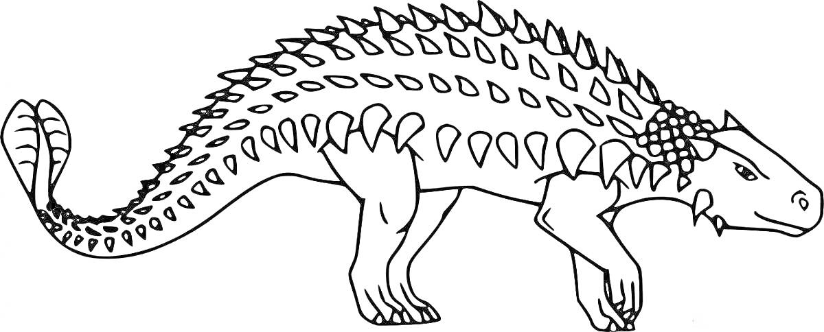 На раскраске изображено: Анкилозавр, Динозавр, Шипы, Панцирь, Хвост, Древний ящер, Для детей, Древние животные