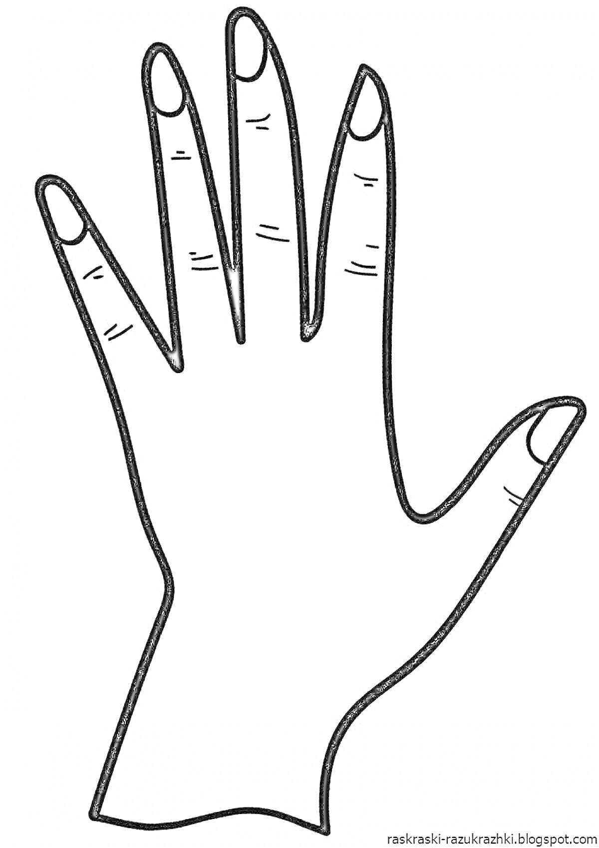 На раскраске изображено: Рука, Пальцы, Ладонь, Анатомия, Линии, Кисти, Контурные рисунки