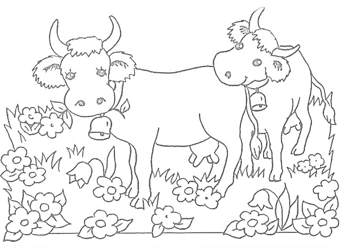 Раскраска Коровы на лугу с цветами