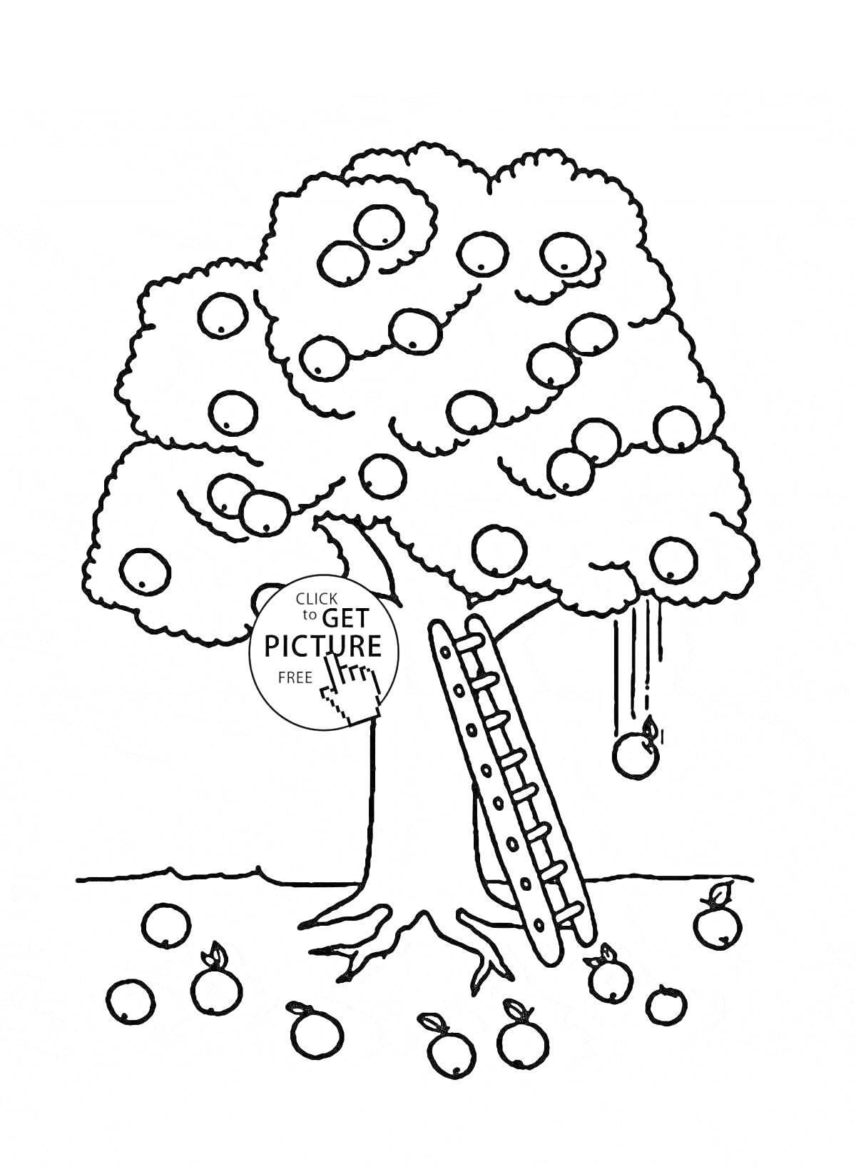 На раскраске изображено: Яблоня, Листья, Лестница, Плоды, Природа, Сад, Осень