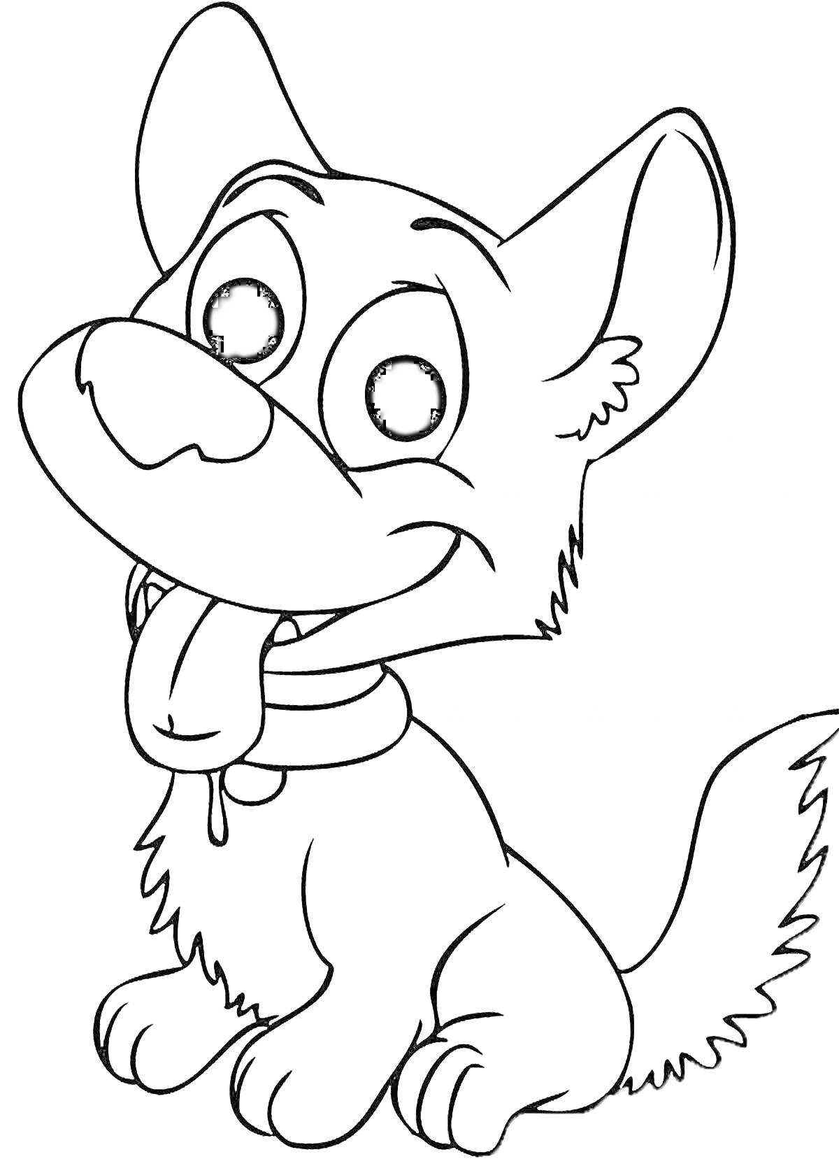 Раскраска Раскраска с мультяшной собачкой со стоячими ушами и высунутым языком