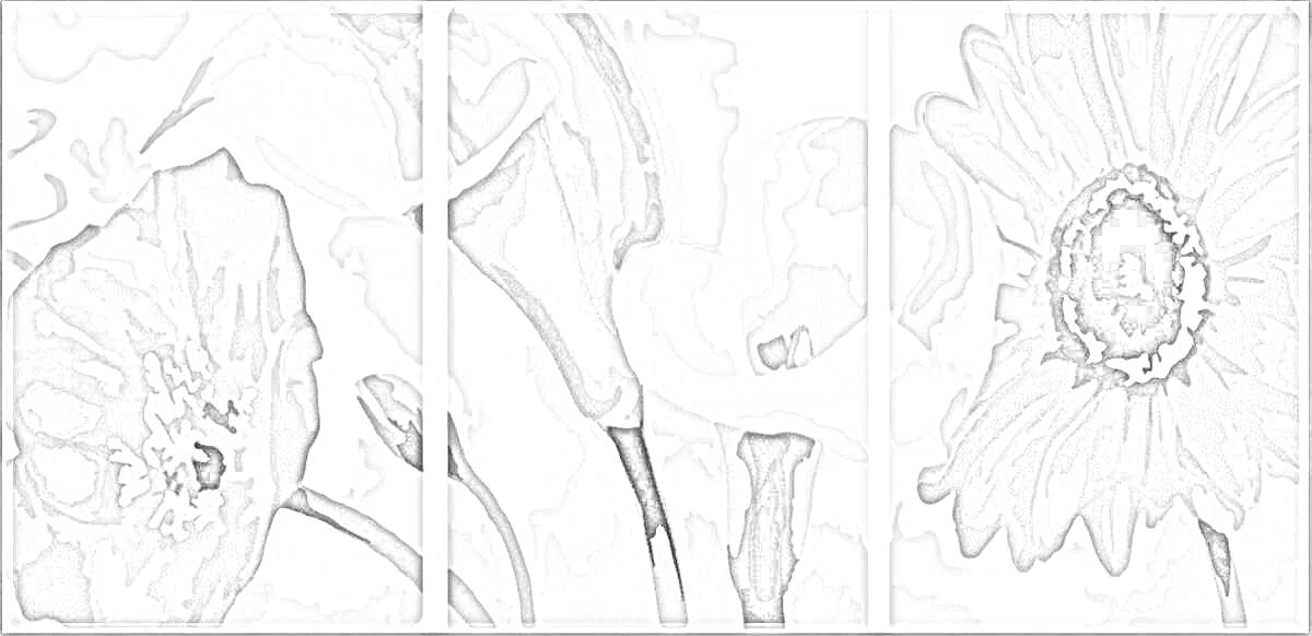 Раскраска Триптих с изображением цветов, два мака и гербера