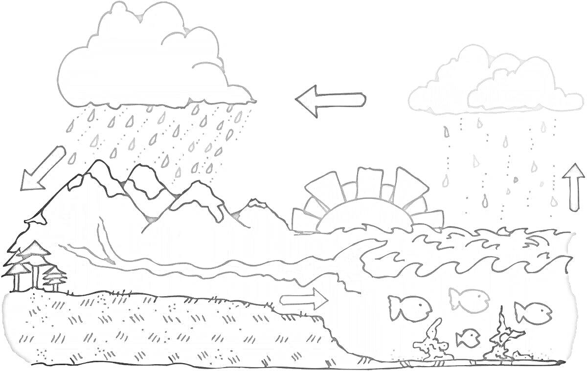На раскраске изображено: Круговорот воды, Облака, Горы, Рыба, Растения, Дождь, Испарение, Осадки