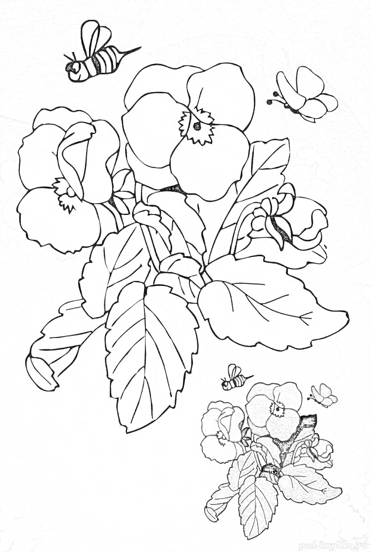На раскраске изображено: Фиалка, Бабочка, Листья, Природа