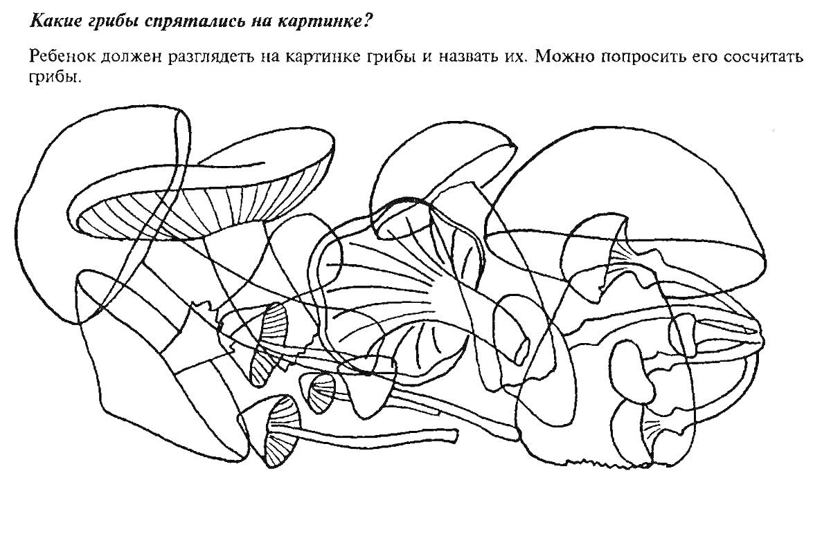 Раскраска Грибы среди линий