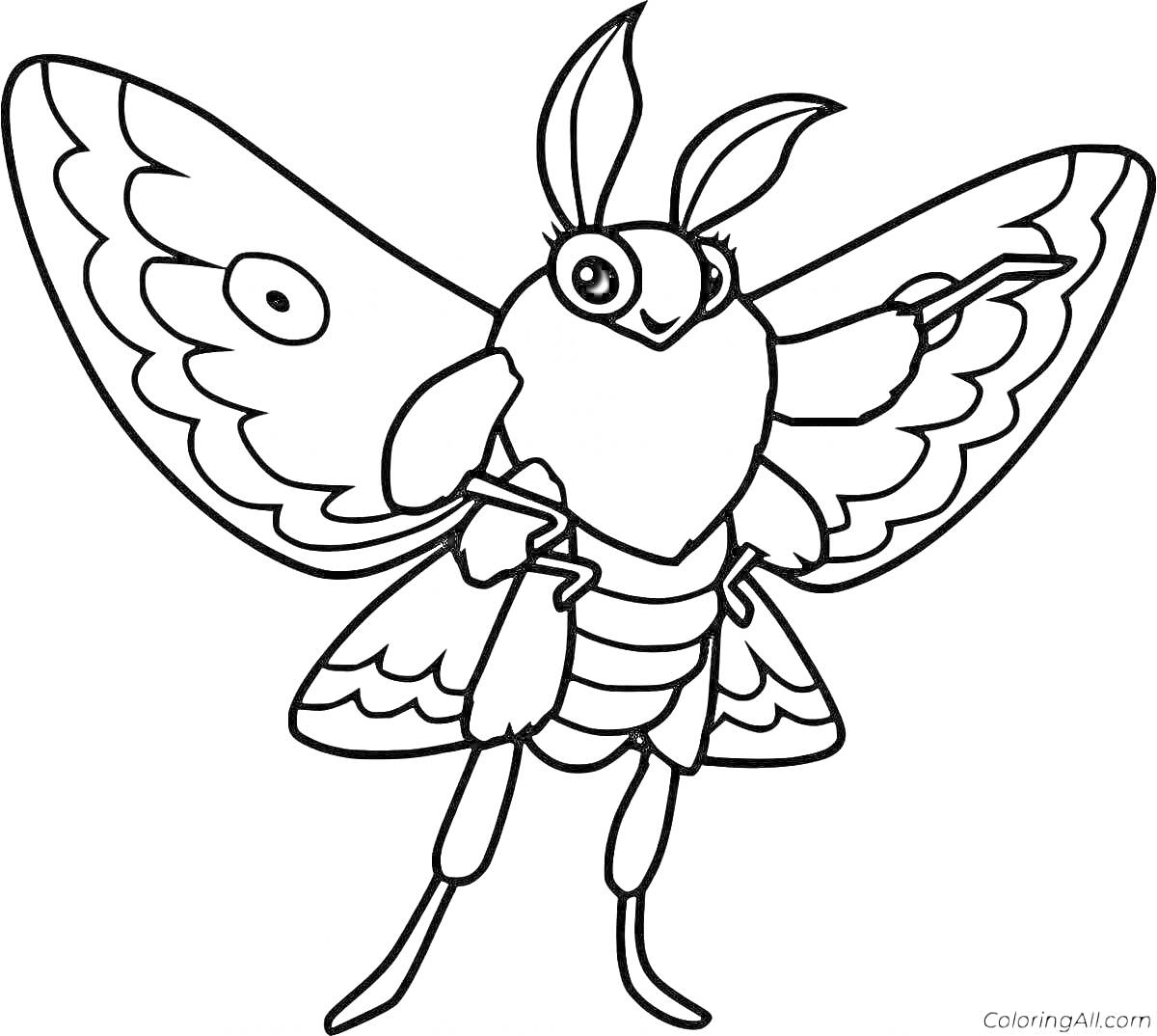 Раскраска Моль с большими крыльями и усиками, мультяшный стиль