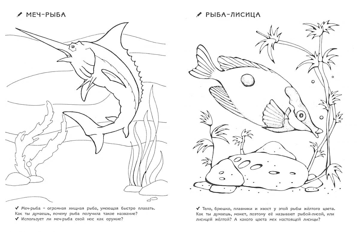 Раскраска Меч-рыба Элементы на фото: меч-рыба, водные растения, камни, волны