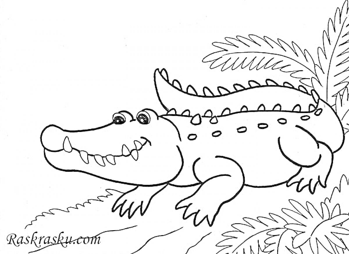 Раскраска Крокодил среди пальмовых листьев