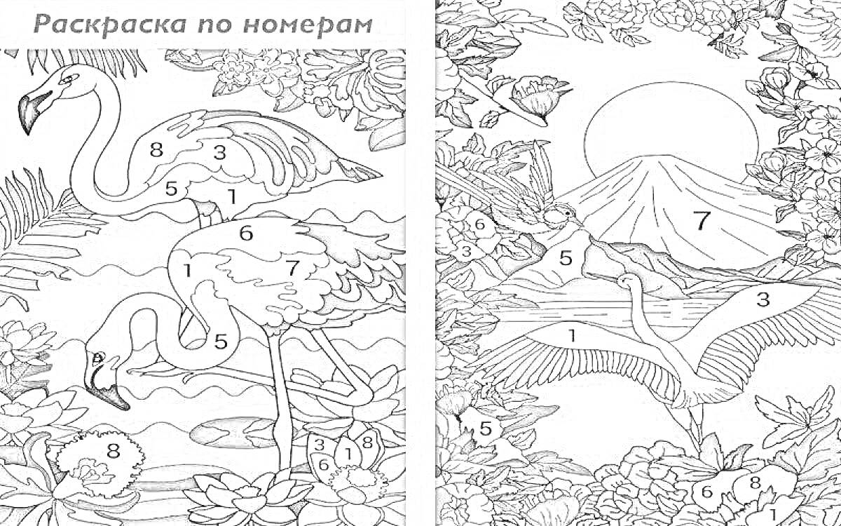 На раскраске изображено: Фламинго, Журавль, Тропический лес, Солнце, Клумба, Деревья, Листья, Цветы, Природа, Горы