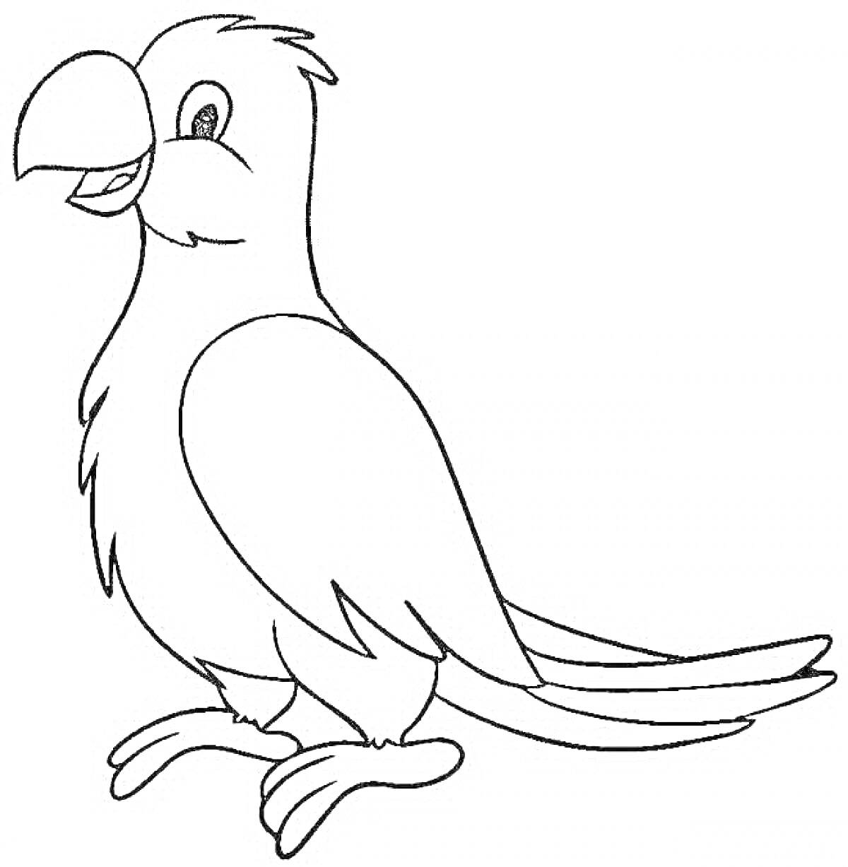 Раскраска Раскраска - Попугай с длинным хвостом, сидящий на лапках