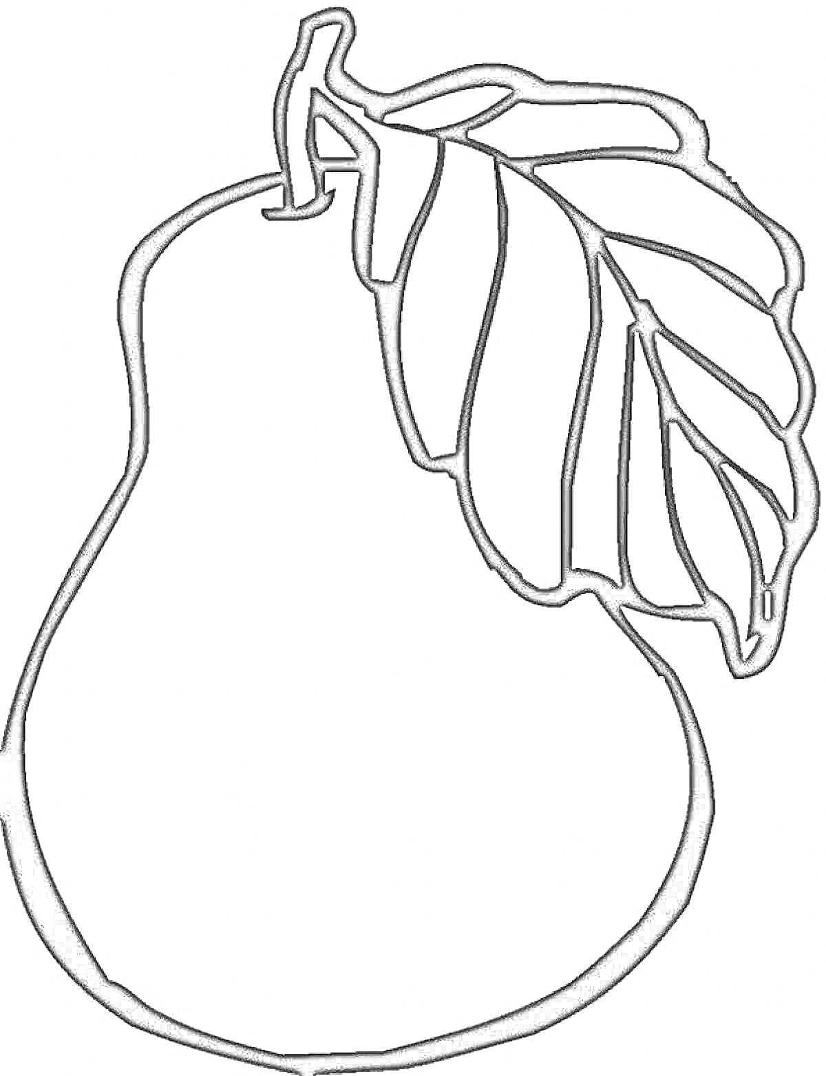 Раскраска Груша с листом