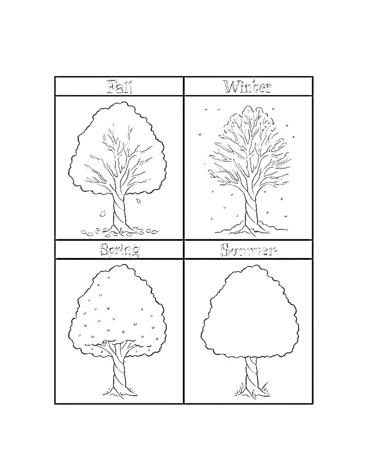 Раскраска Деревья четырёх времён года: осень, зима, весна, лето, с изображением листвы и характерных сезонных элементов
