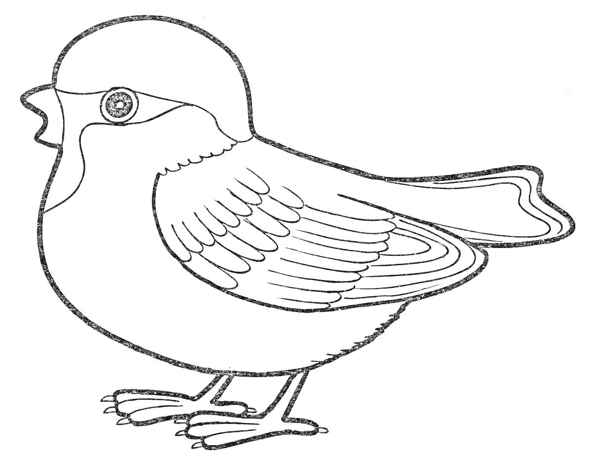 Раскраска Птичка с коротким хвостом и открытым клювом