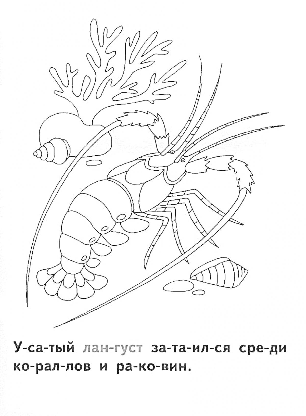 На раскраске изображено: Лангуст, Кораллы, Море, Природа, Морской житель