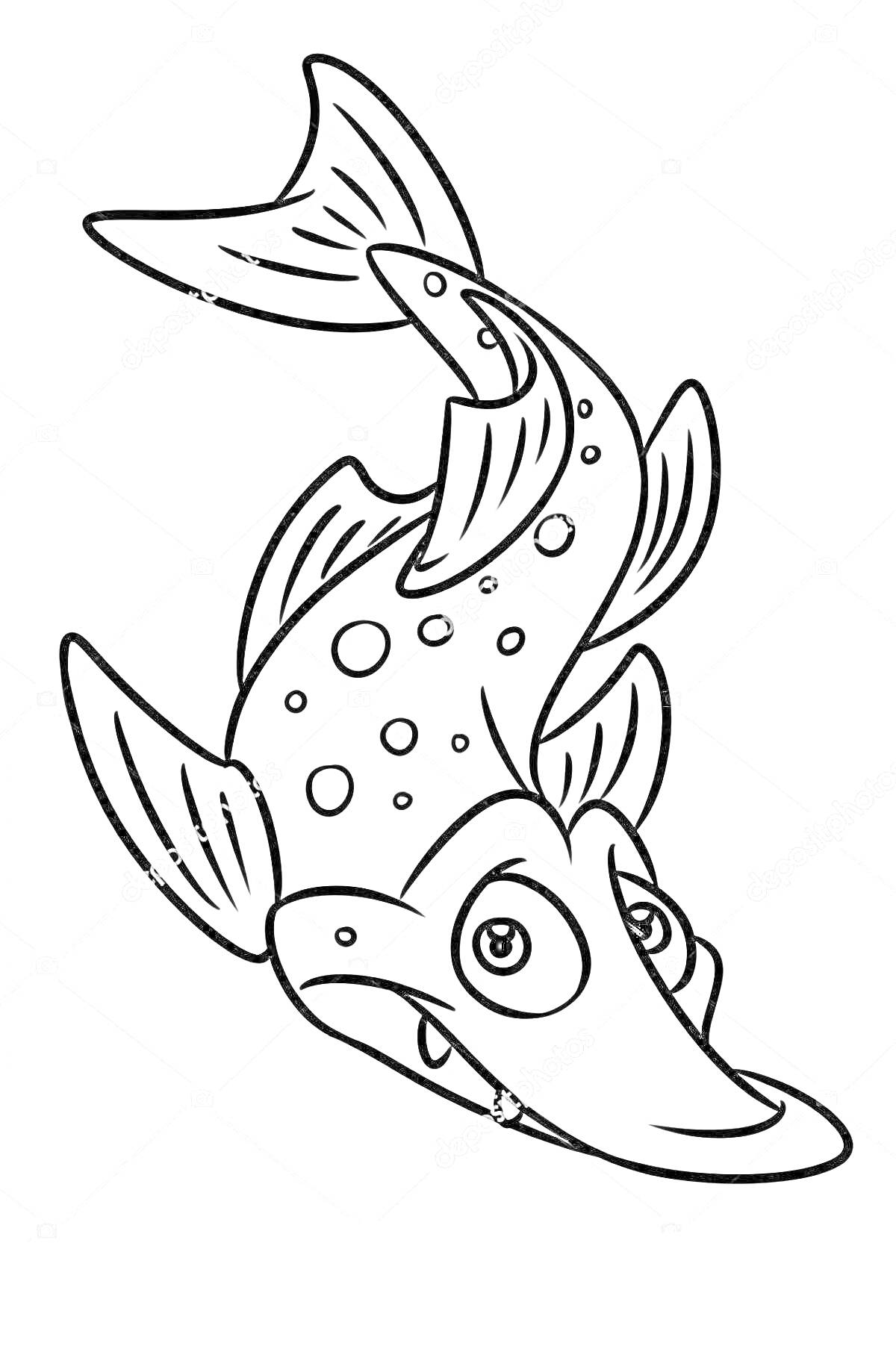 На раскраске изображено: Рыба, Щука, Пятна, Плавники, Для детей, Морская жизнь