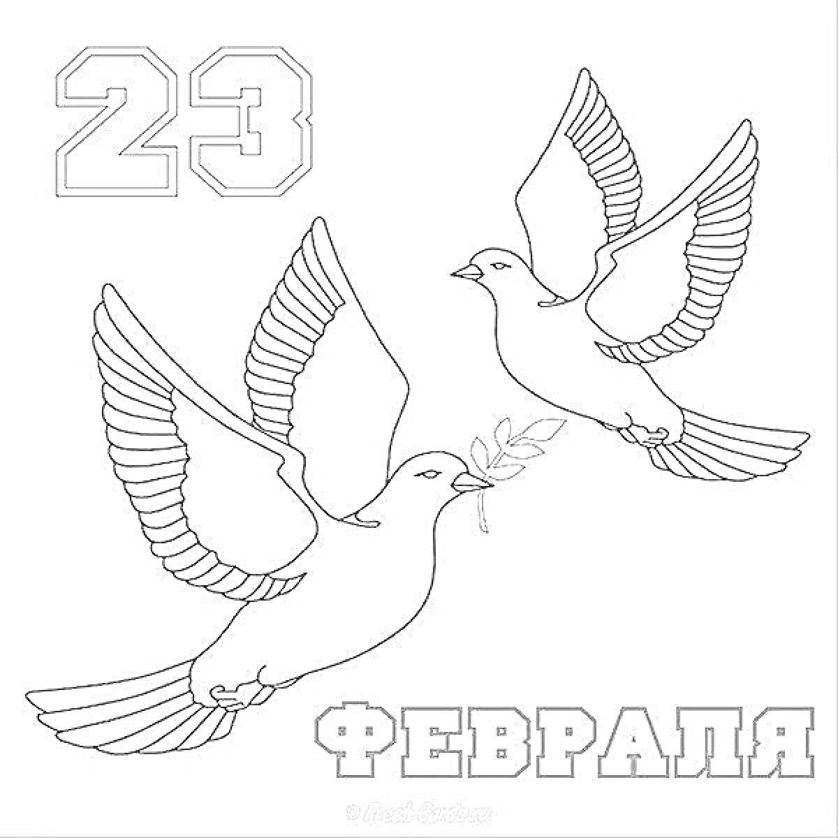 Раскраска открытка к 23 февраля с рисунком двух голубей с оливковой ветвью и надписью 
