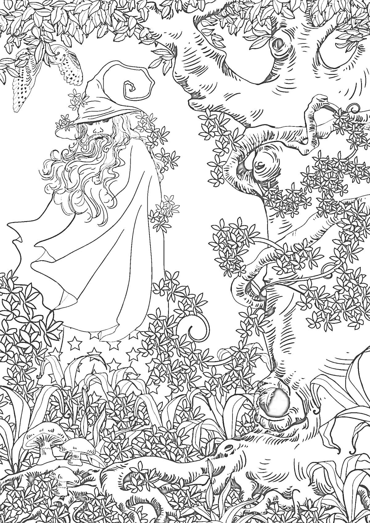 Раскраска Волшебник в лесу с деревьями, листвой, грибами и совой