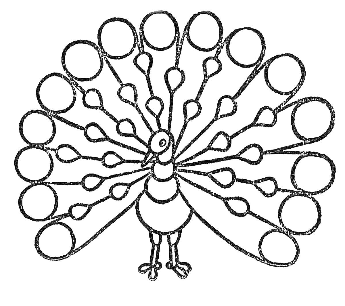 Раскраска Павлин с распушенным хвостом с круглыми и каплевидными элементами