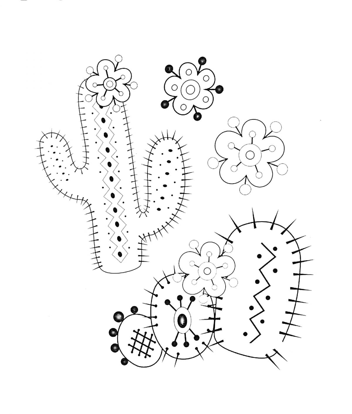 Раскраска Кактусы и цветы