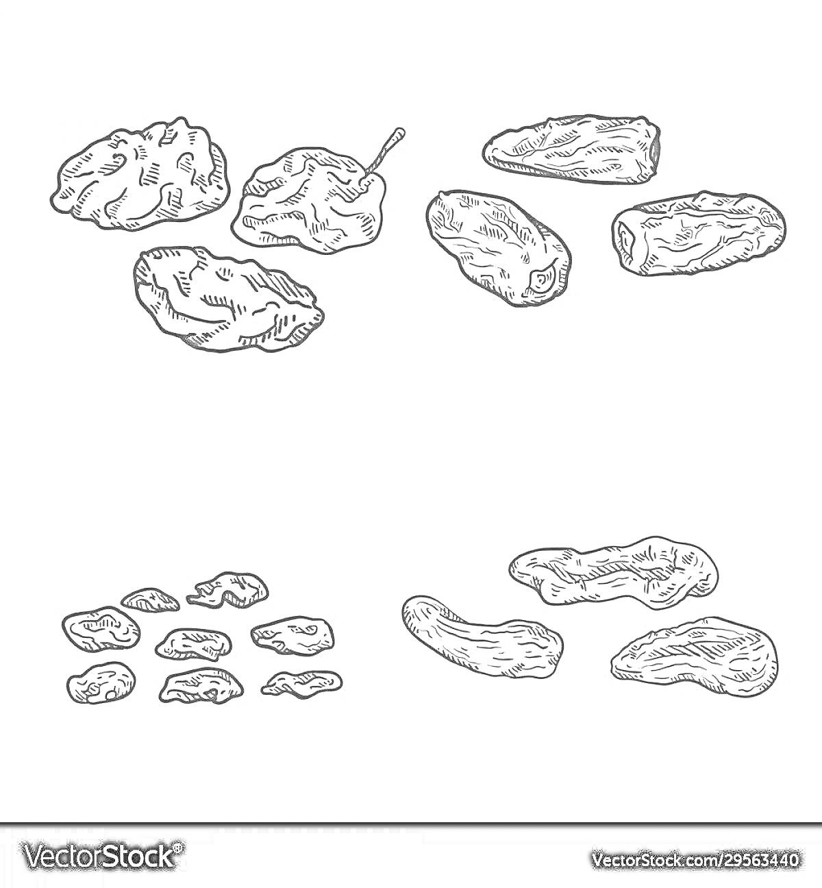 На раскраске изображено: Финики, Сухофрукты, Еда, Ягоды, Фрукты