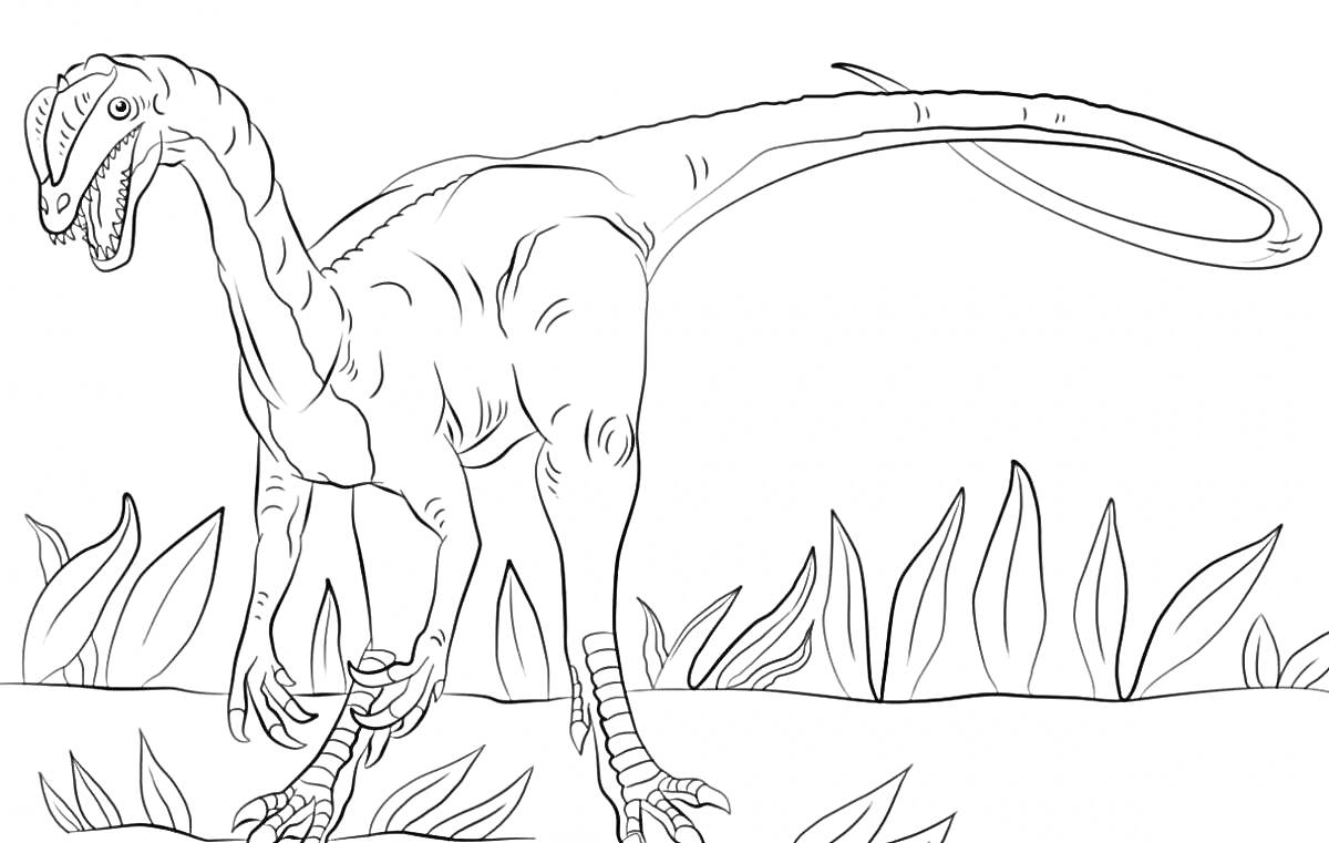 Раскраска Длинношеий динозавр среди высокой травы