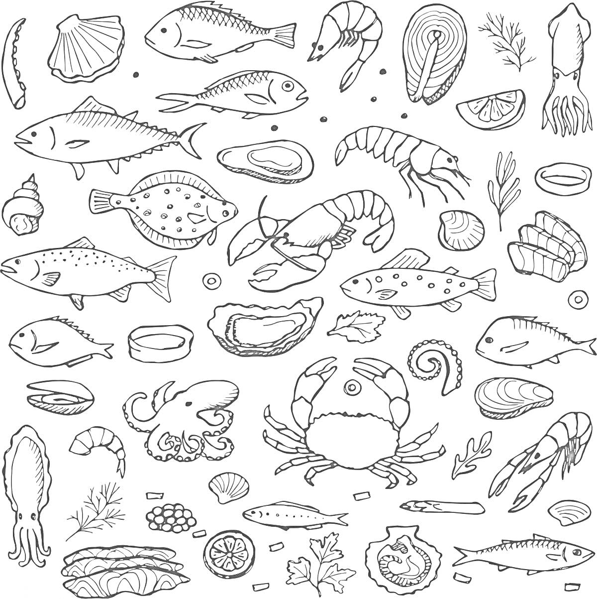 Раскраска Рыбные продукты и морепродукты (рыбы, креветки, краб, моллюски, устрицы, лосось, кальмар, лимонные дольки, зелень)
