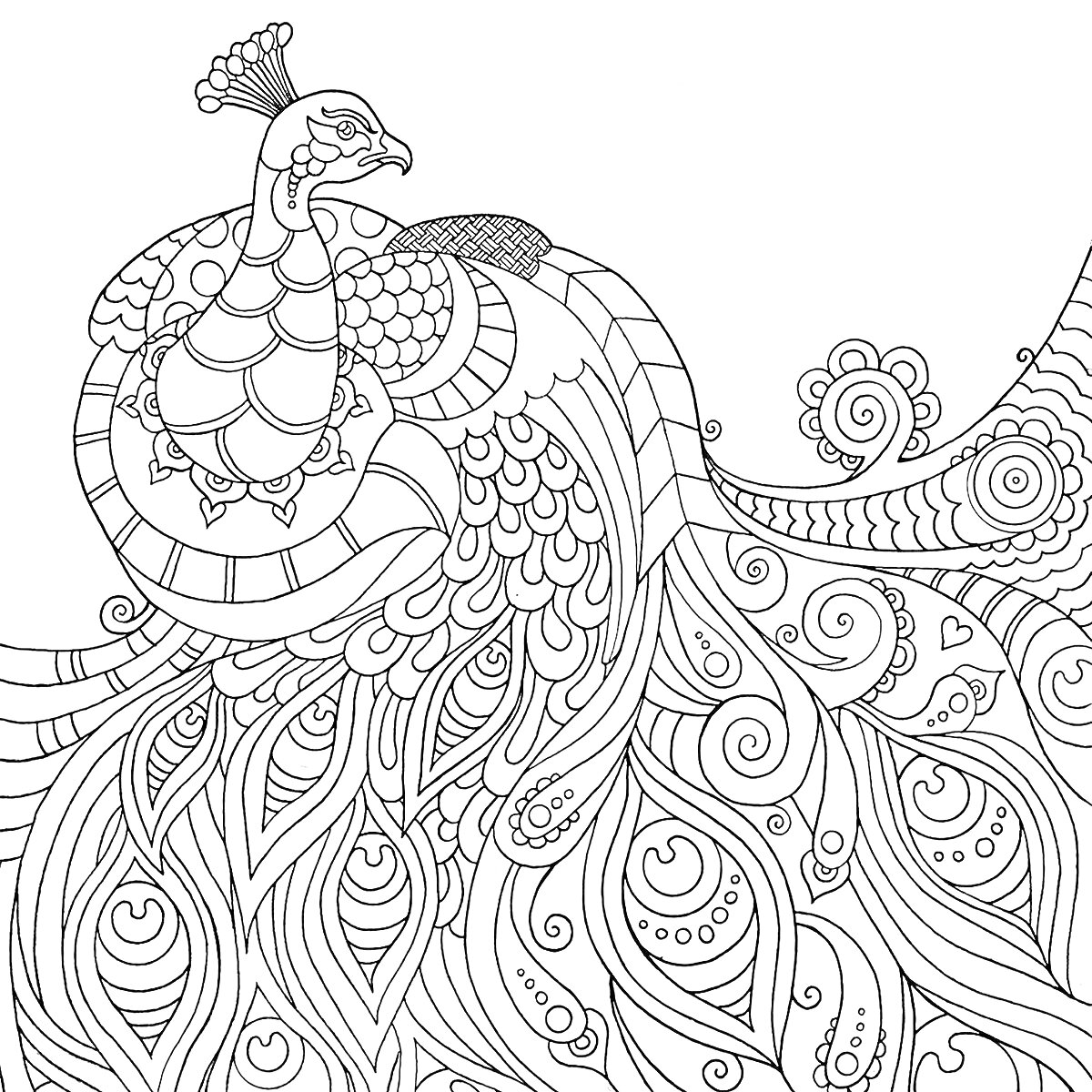 Раскраска Антистресс раскраска павлин с узорчатым хвостом и декоративными элементами