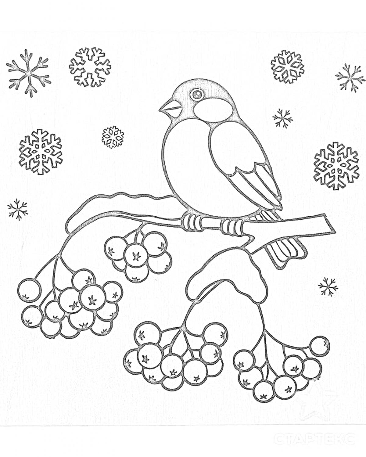 На раскраске изображено: Снегирь, Птица, Ветка, Ягоды, Снежинки, Зима, Природа, Снег