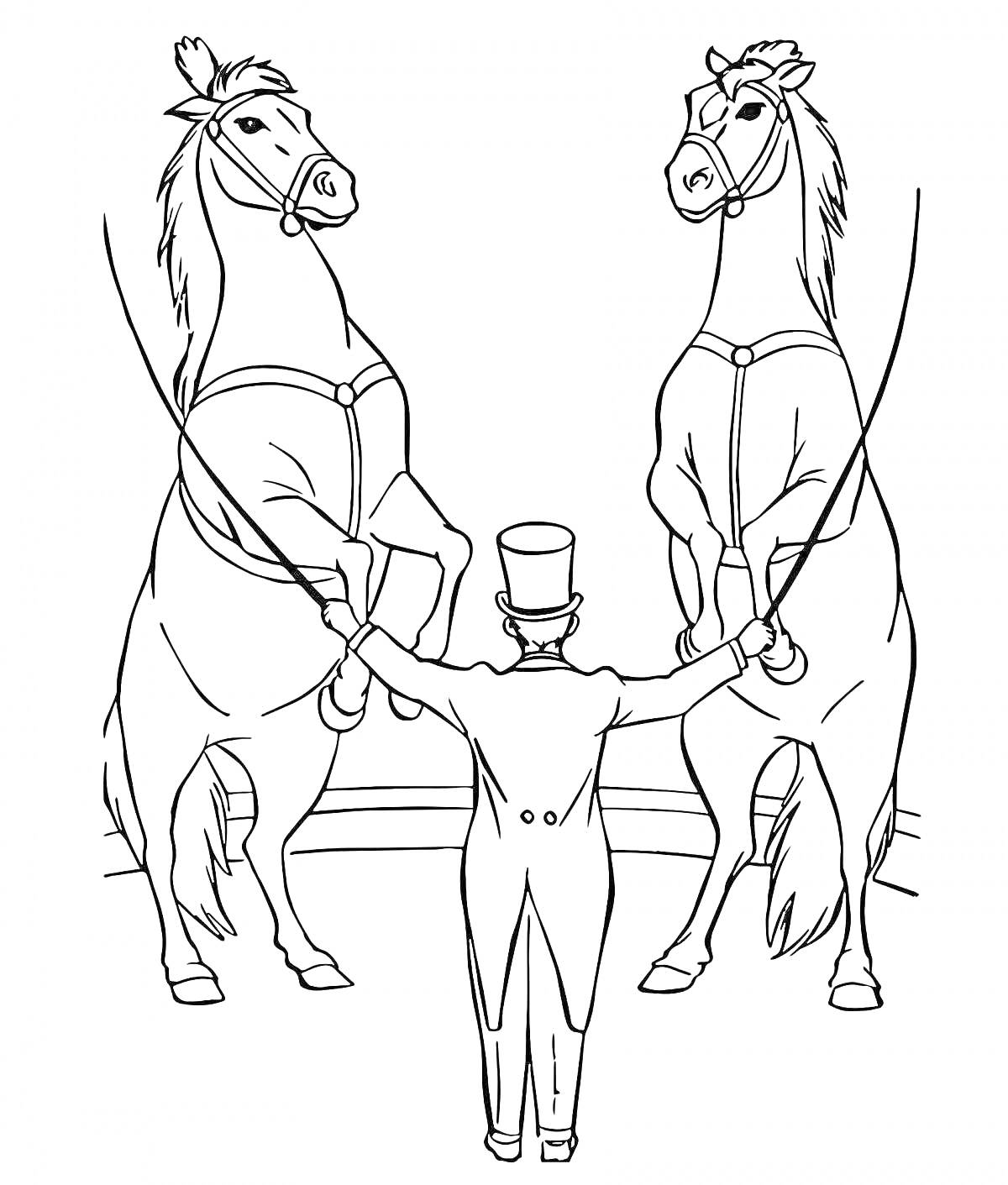 Раскраска Дрессировщик и два лошади