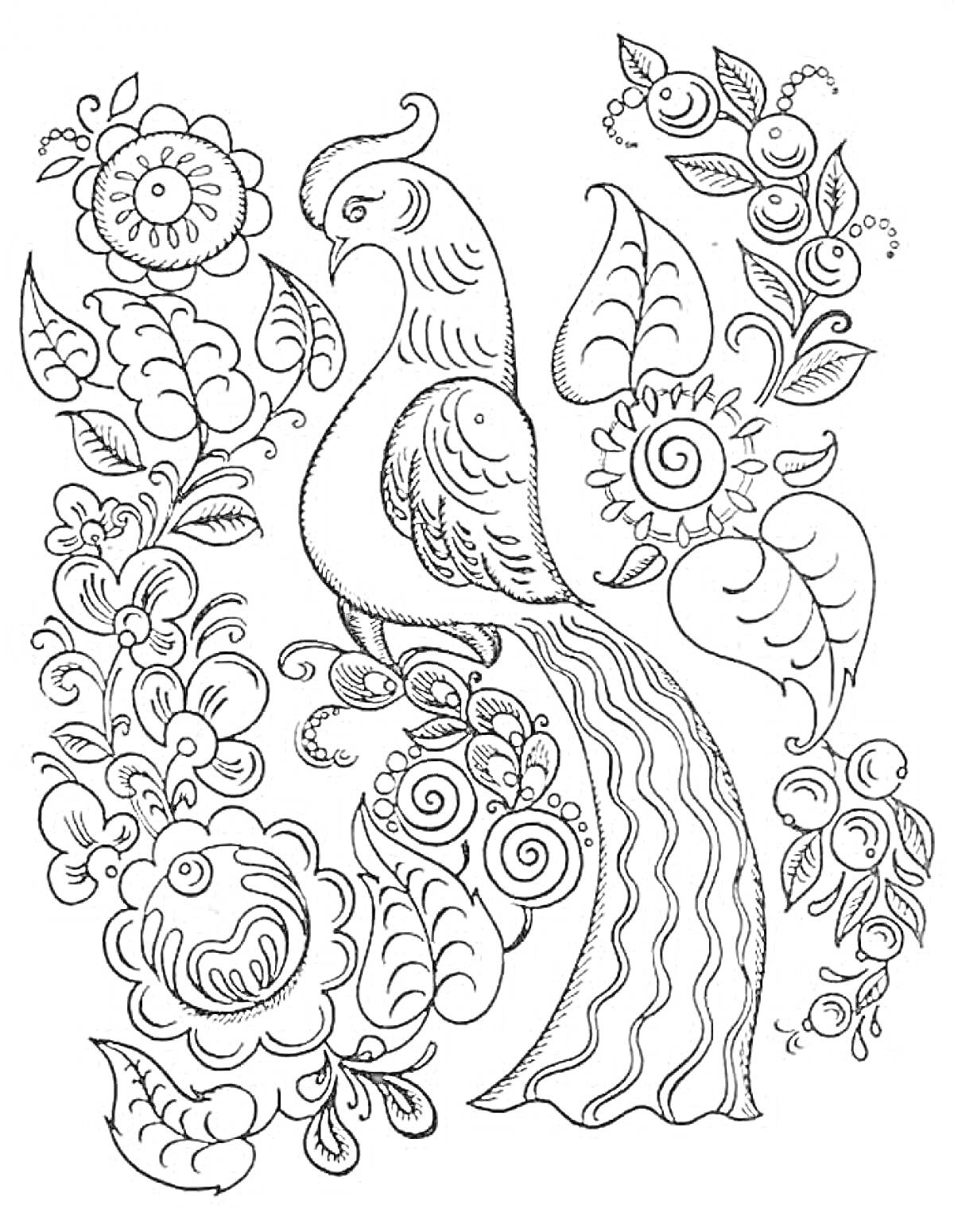Раскраска Павлин среди цветочно-лиственных орнаментов (павлин, цветы, листья, завитки).
