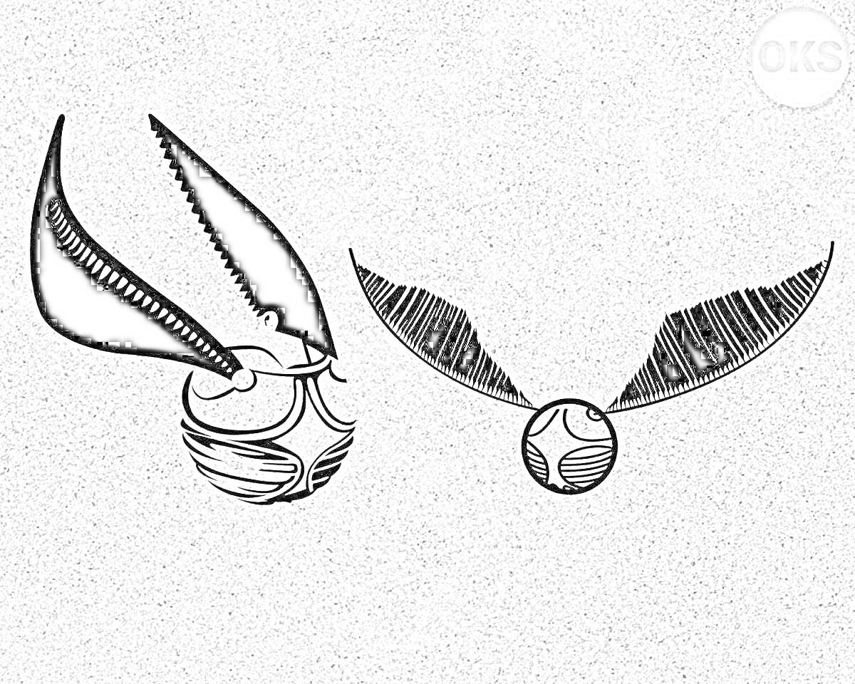 На раскраске изображено: Снитч, Крылья, Магия, Квиддич, Спорт, Гравюра