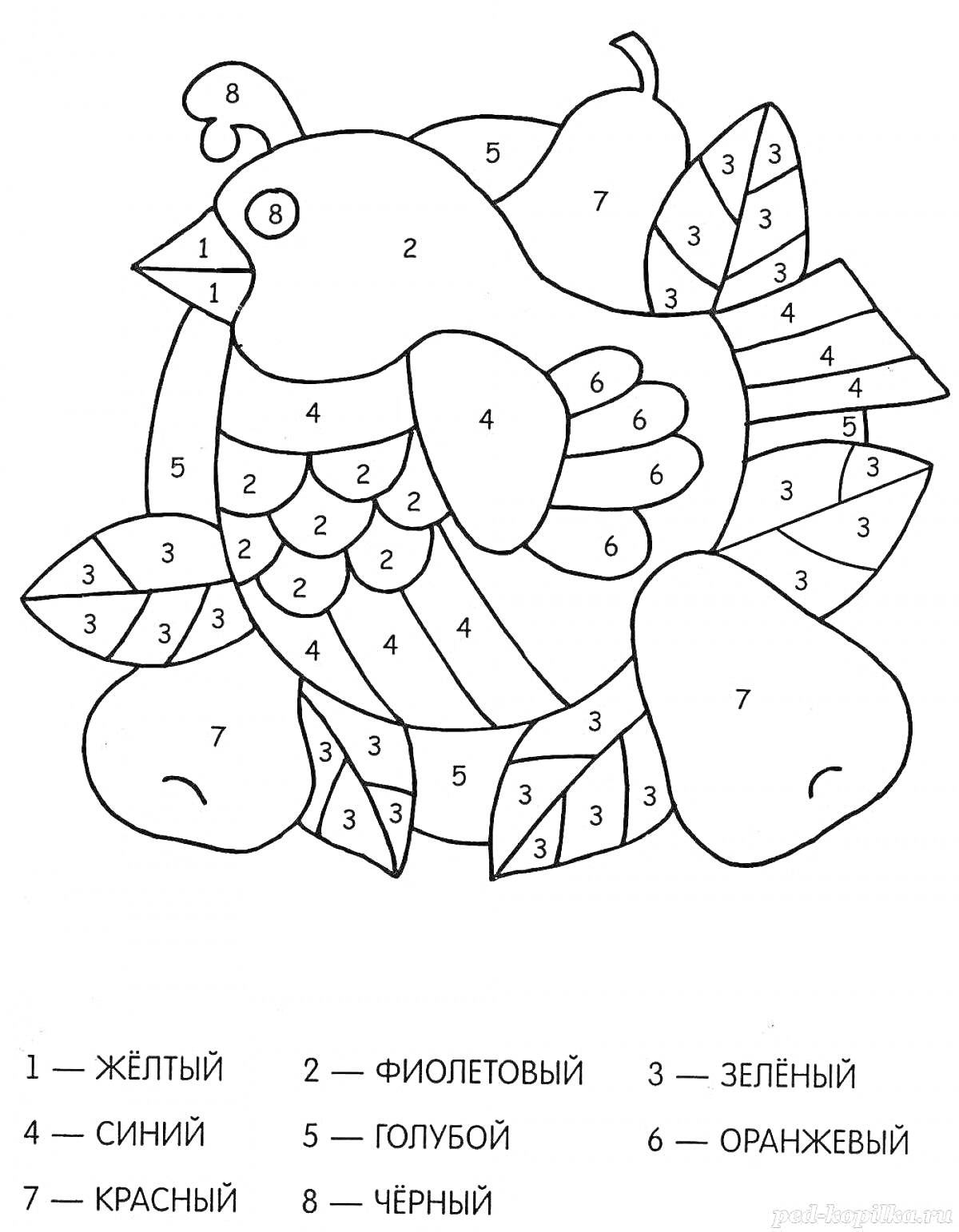 Раскраска Птица и фрукты, окружающие её (груши, листья)