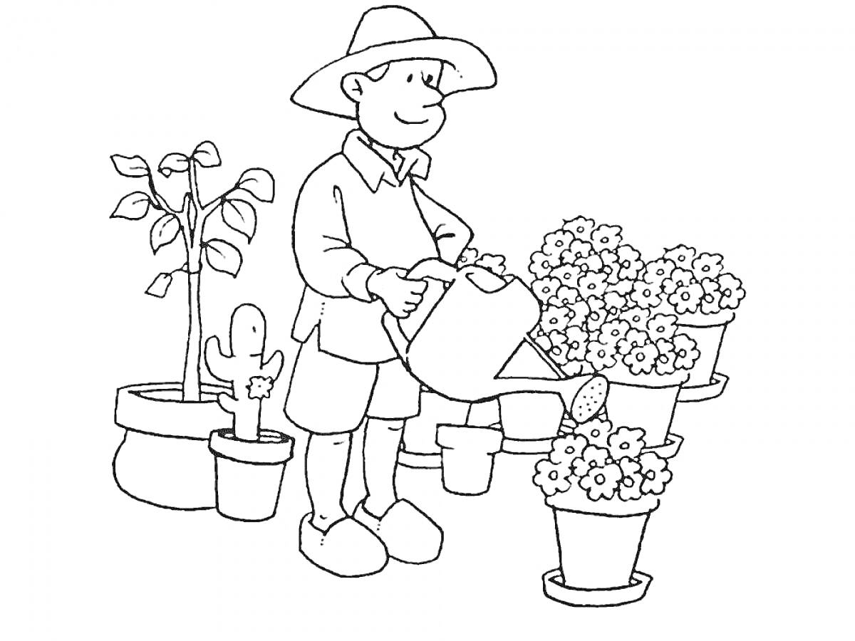 Раскраска Садовник поливает цветы, рядом с ним несколько горшков с растениями