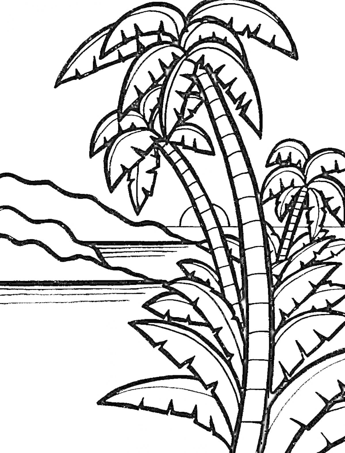 Раскраска Пальмы на берегу с горами и заходящим солнцем