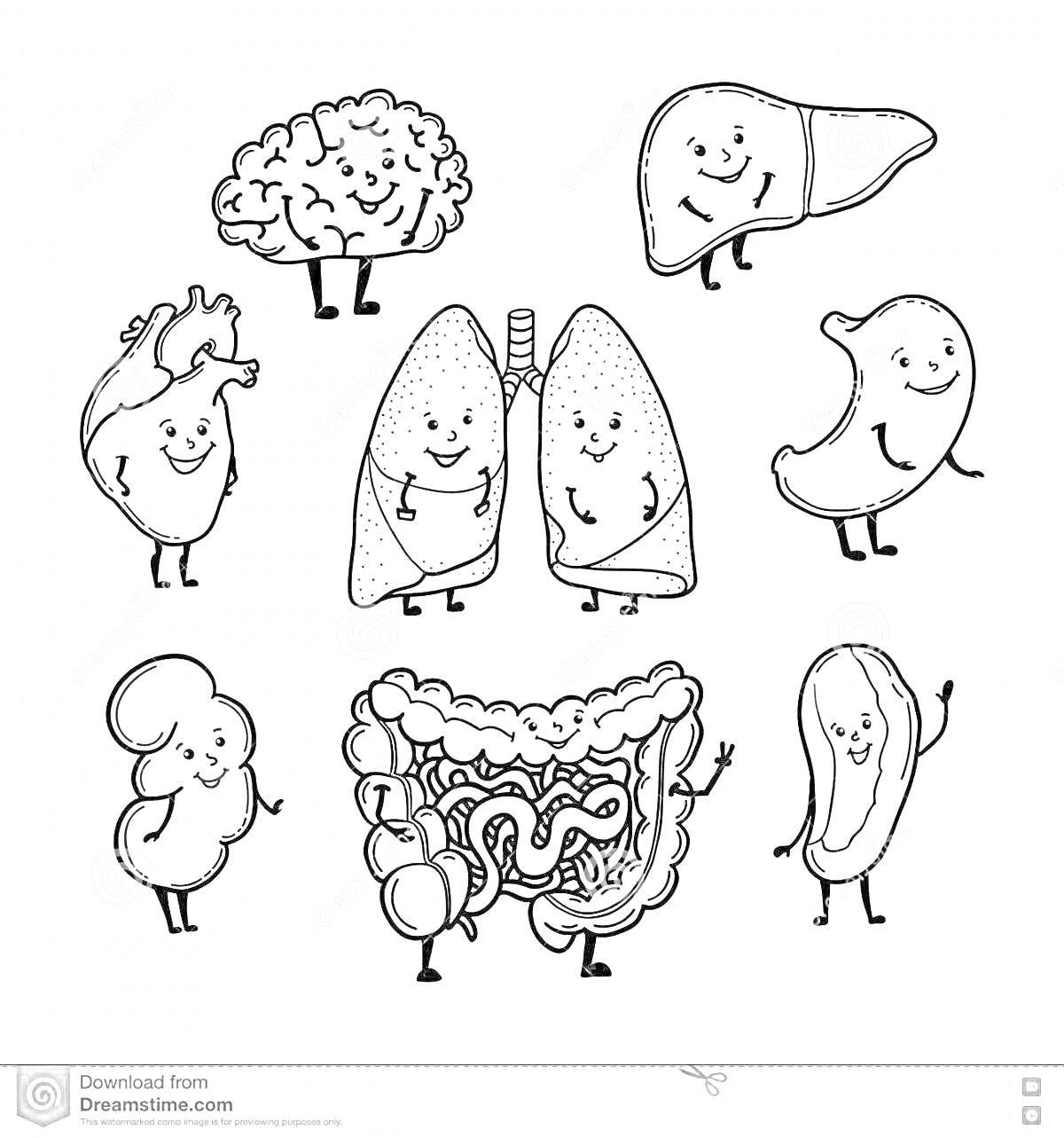 Раскраска Мультяшные органы человека: мозг, сердце, лёгкие, кишечник, печень, желудок, почка, поджелудочная железа