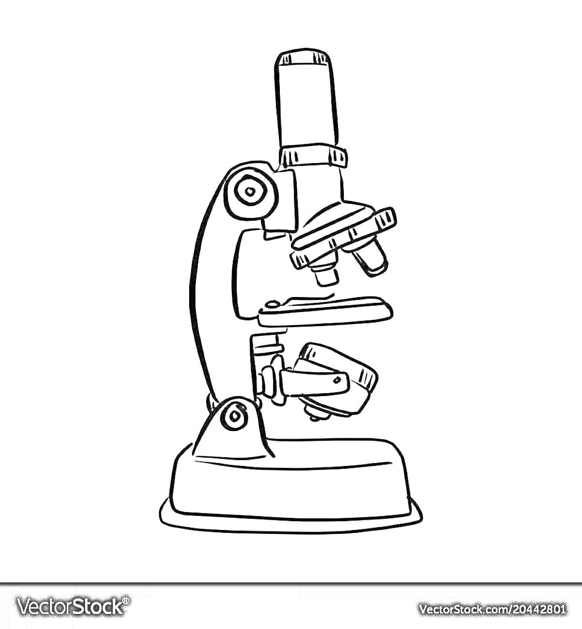 Раскраска Микроскоп для детей с объективом, фокусировочным винтом, окуляром, револьвером и основанием