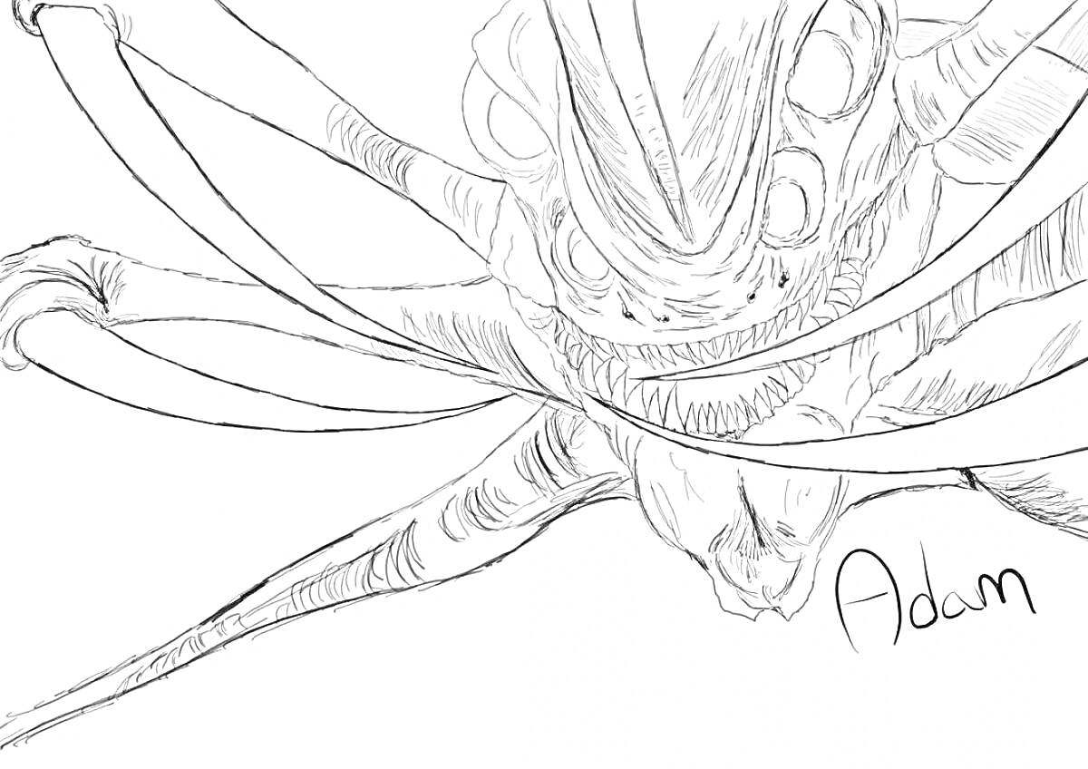 Раскраска Изображение морского существа с длинными щупальцами и большими глазами в виде эскиза, с надписью 