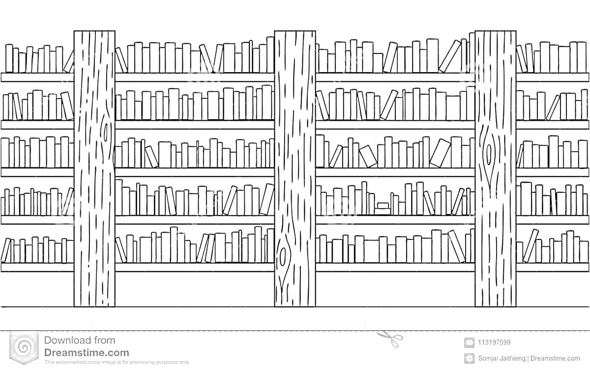 На раскраске изображено: Книга, Шкаф, Полки, Лес, Библиотека, Книжные полки