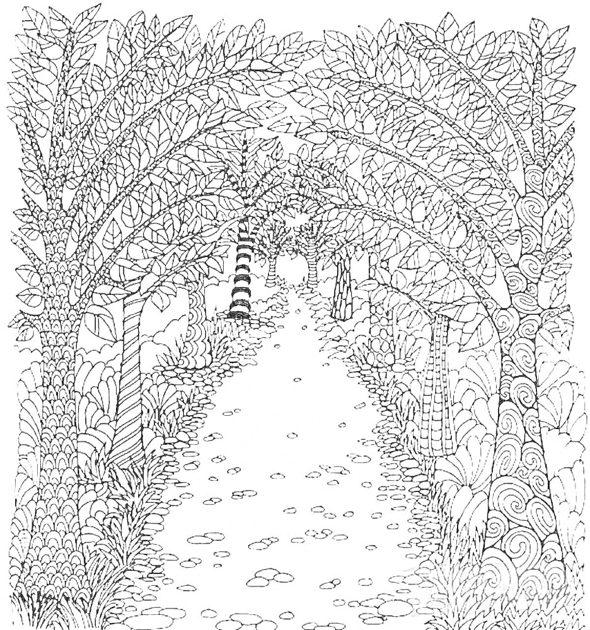 Раскраска В лесу с деревьями, с витиевато нарисованными стволами и листьями, каменная дорога