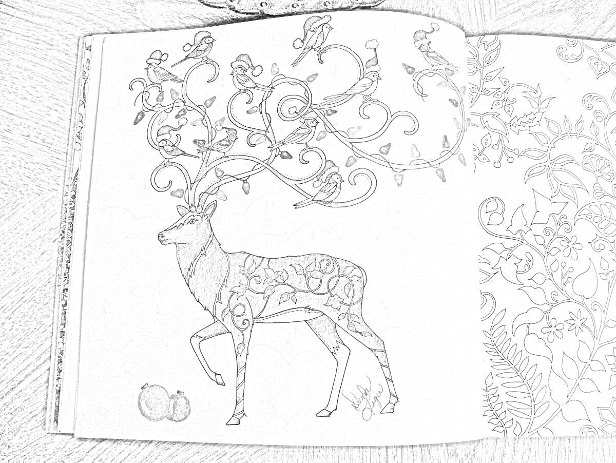 Раскраска Олень с узорчатыми ветвями, птицами и яблоками