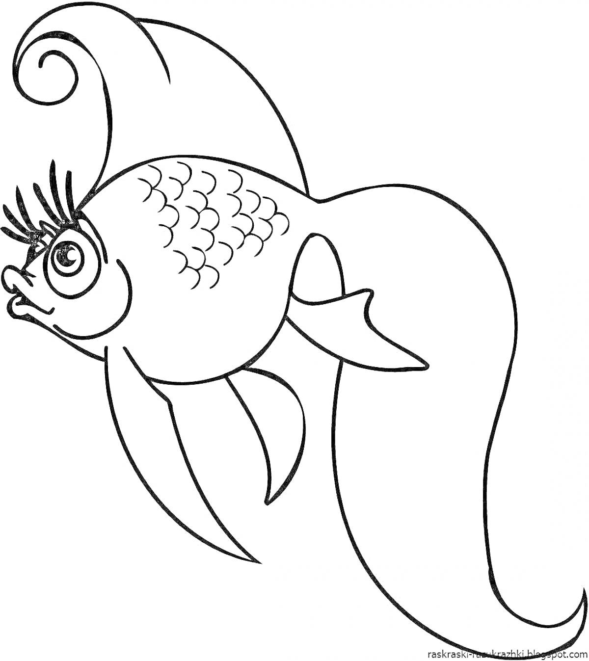 На раскраске изображено: Золотая рыбка, Рыба, Длинный хвост, Плавники