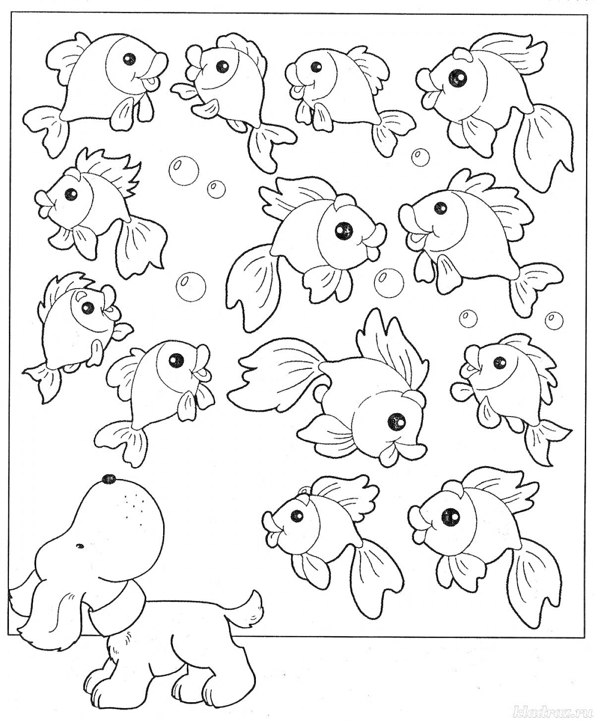 На раскраске изображено: Собака, Маленькие рыбки, Животные, Водный мир