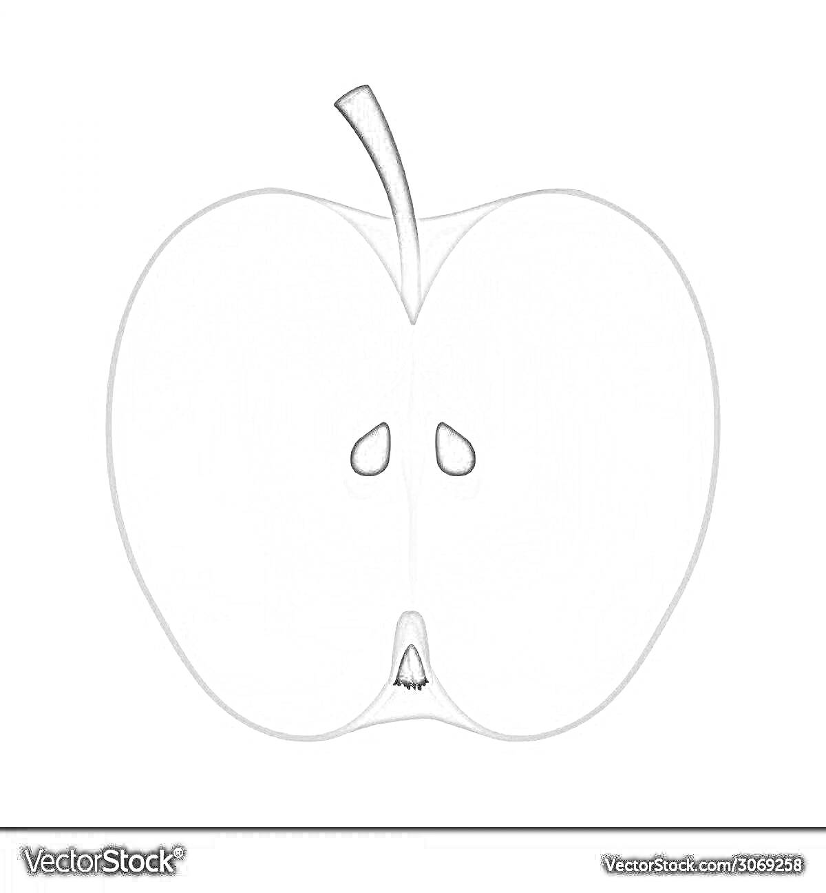 Раскраска Раскраска: яблоко в разрезе с семечками и черешком