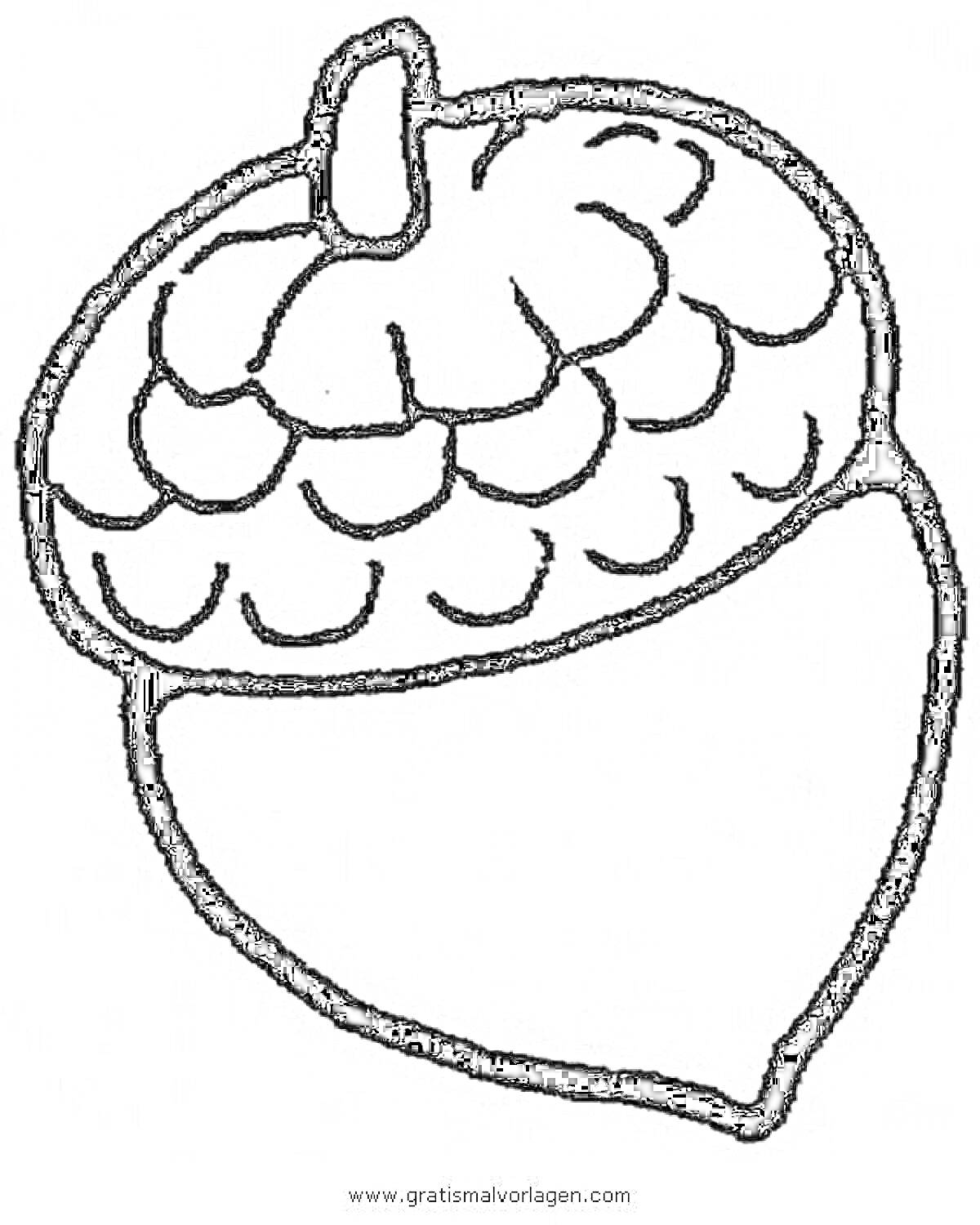 На раскраске изображено: Орех, Для детей, Природа, Лес, Осень