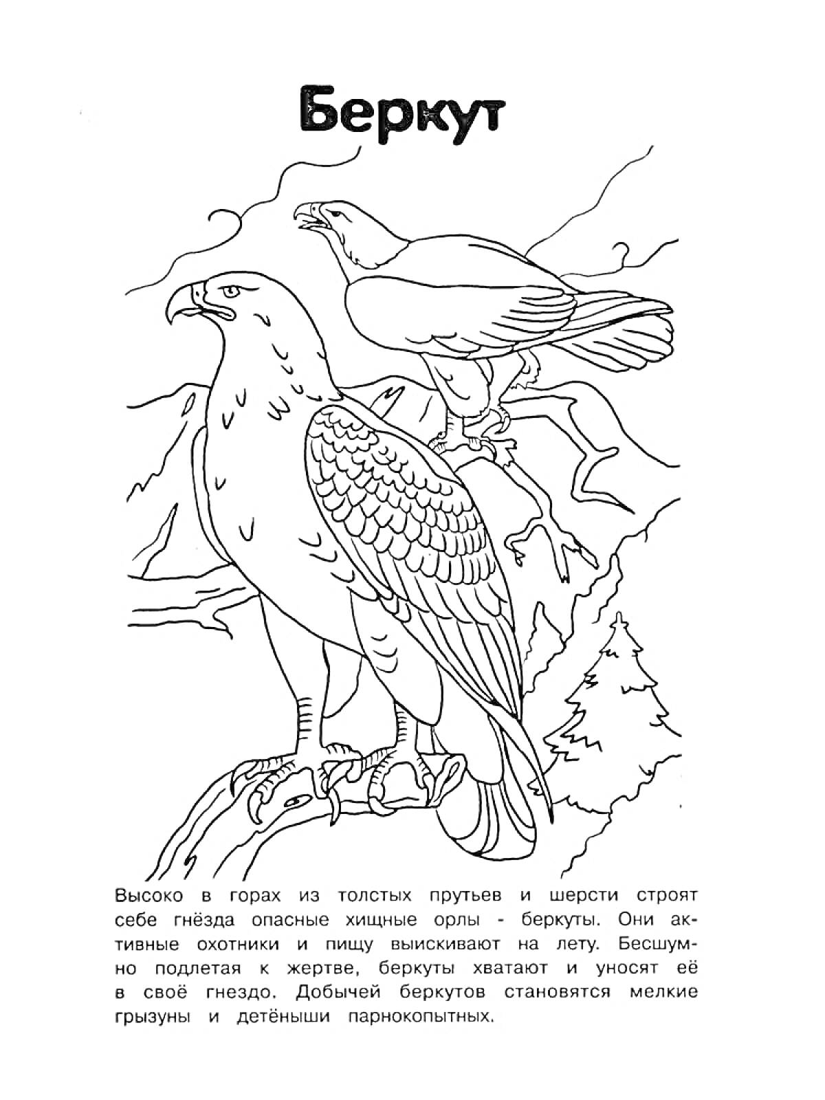 На раскраске изображено: Красная книга, Хищная птица, Орел, Горы, Природа, Дикая природа, Птица
