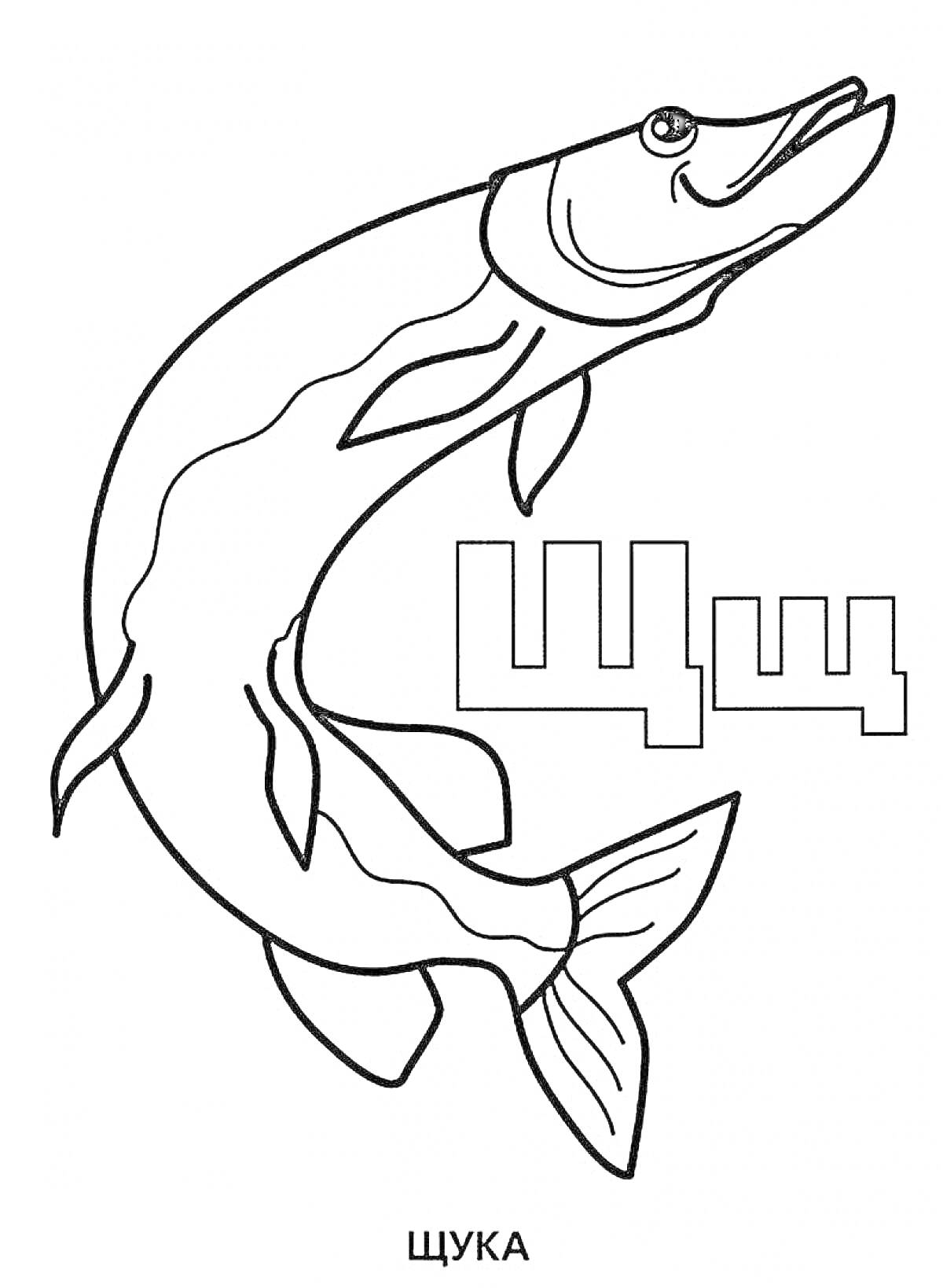 На раскраске изображено: Щука, Рыба, Буквы, Алфавит, Водная жизнь