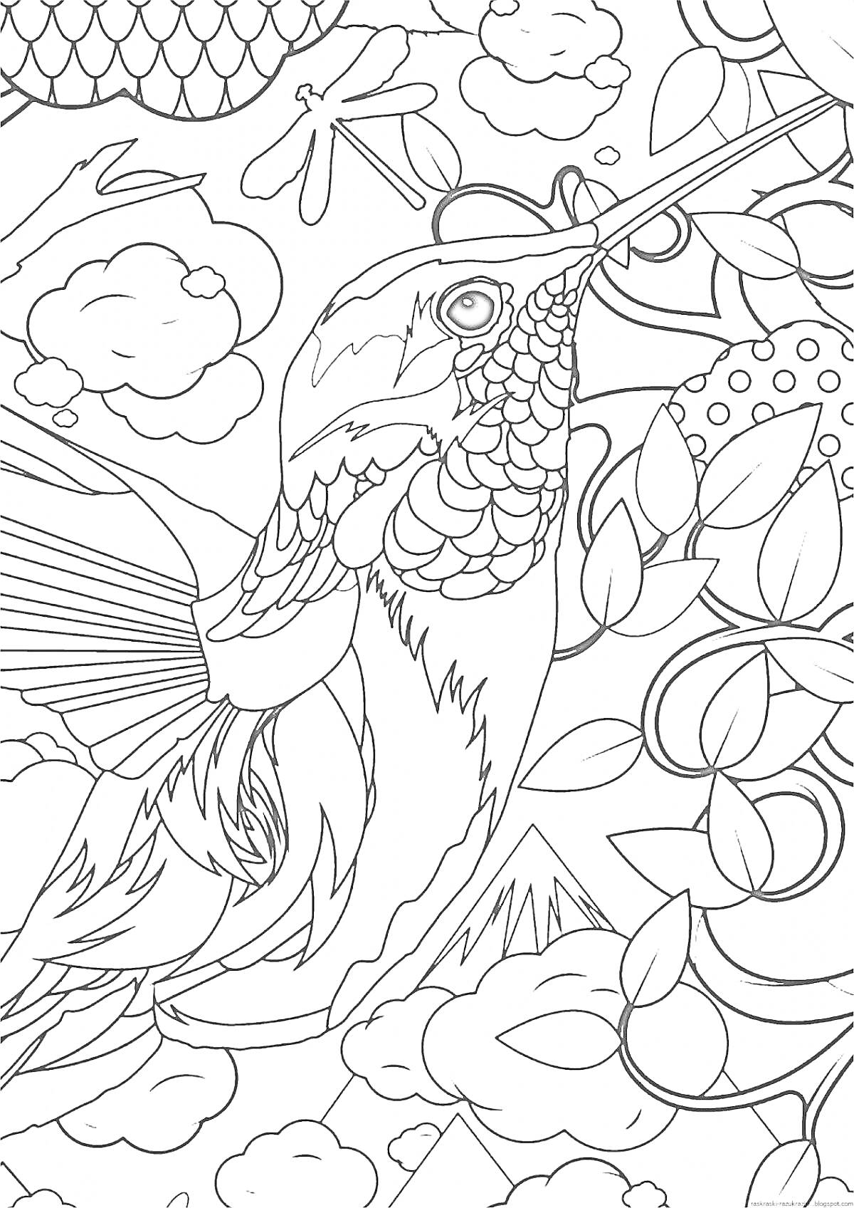 На раскраске изображено: Колибри, Птица, Листья, Облака, Стрекозы, Природа, Узоры, Антистресс
