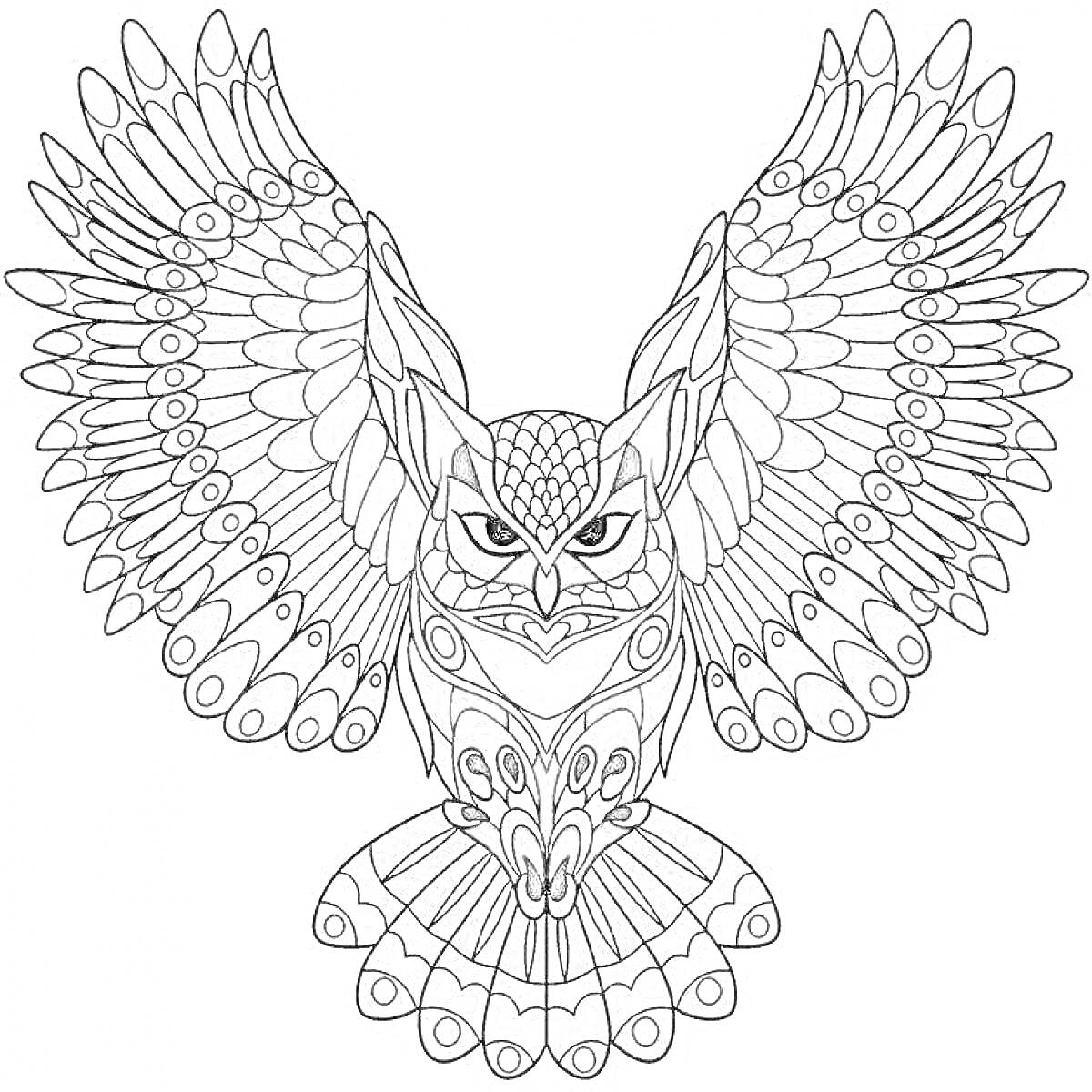 Раскраска Сова с расправленными крыльями, многочисленные детали на крыльях и хвосте