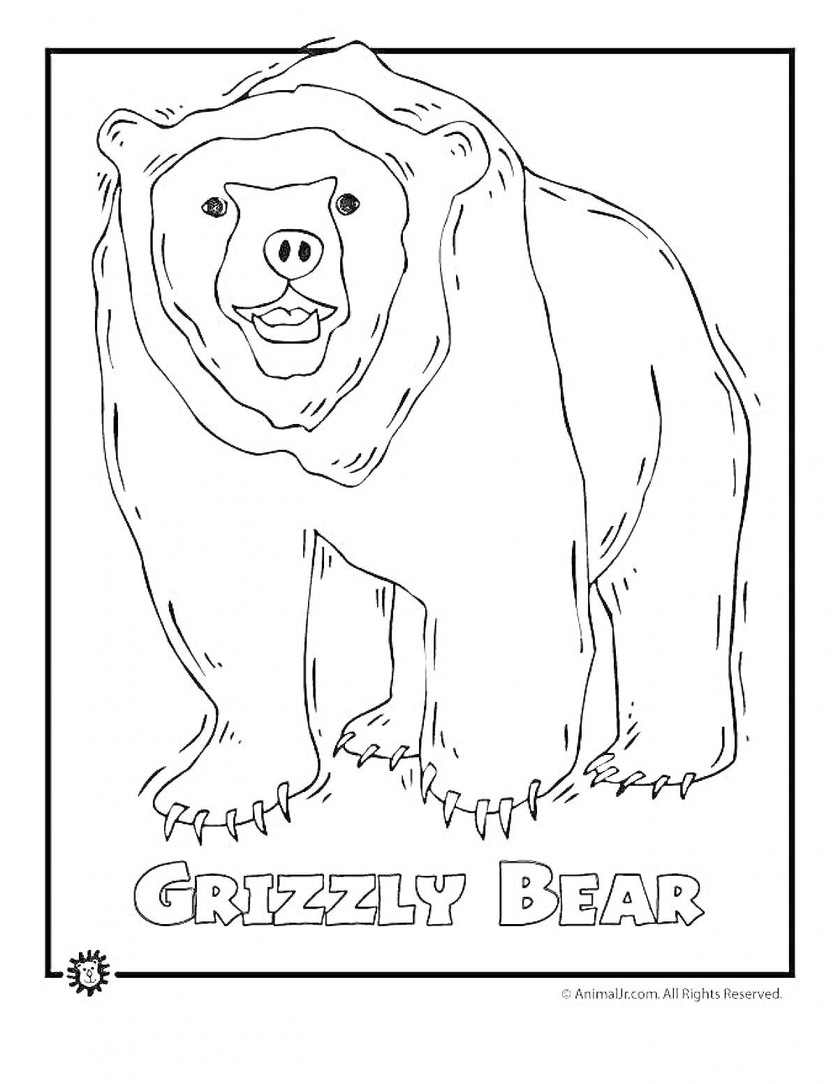Раскраска Гризли медведь с надписью 